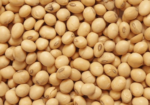 Is nattokinase an anti inflammatory?